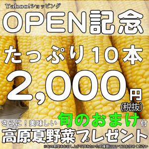 とうもろこし 甘い 野菜 産直 めぐみ 高原野菜 嬬恋村産