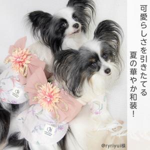 犬 浴衣 散歩 服 夏 空調ペット服 ファン無...の詳細画像3