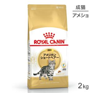 ロイヤルカナン アメリカンショートヘアー 2kg   キャットフード ドライ