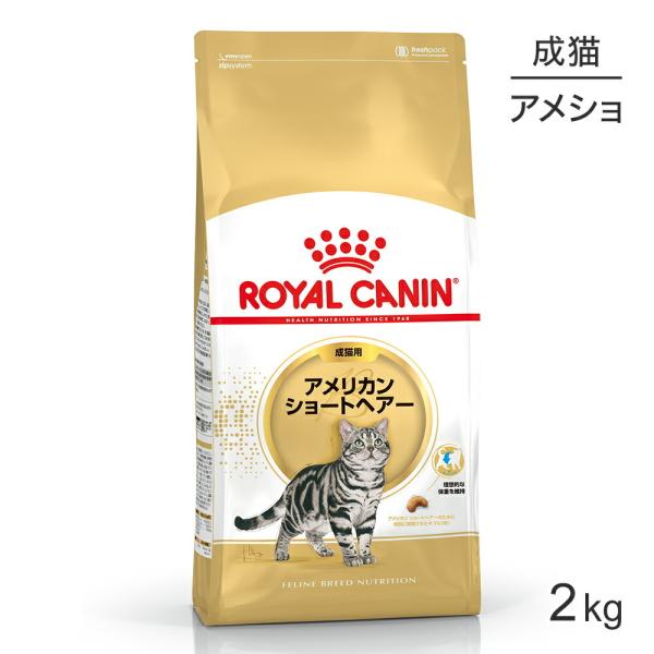 ロイヤルカナン アメリカンショートヘアー 2kg (猫・キャット) [正規品] キャットフード ドラ...