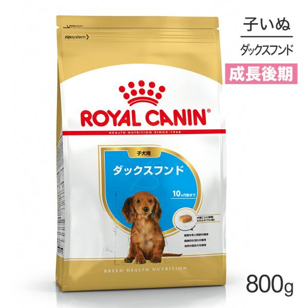 ロイヤルカナン BHN ダックスフンド 子犬用 生後10ヵ月齢まで 800g (犬・ドッグ)[正規品...
