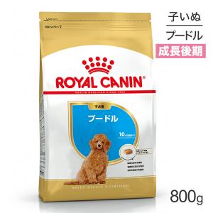 ロイヤルカナン プードル 子犬用 800g (犬・ドッグ) [正規品]｜sweet-pet