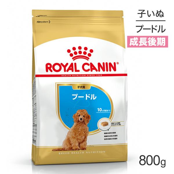 ロイヤルカナン プードル 子犬用 800g (犬・ドッグ) [正規品]