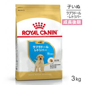 ACANA（アカナ） アカナドッグ シニアレシピ 2kg (犬・ドッグ)[正規品