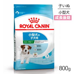 ロイヤルカナン（ROYAL CANIN） 犬 エイジングケア ドライ 3kg : 和泉