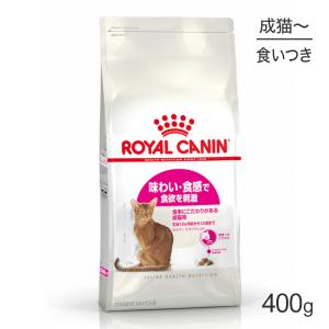 ロイヤルカナン セイバーエクシジェント猫用 40...の商品画像