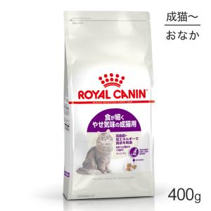 MARS ニュートロ ワイルドレシピ アダルト チキン 成猫用 2kg(猫