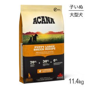 ACANA（アカナ） アダルトラージブリードレシピ 17kg (正規品
