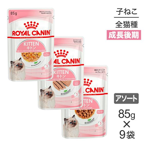 【メール便】【85g×9袋】ロイヤルカナン FHN-WET 子ねこのためのウェット お試しセット キ...