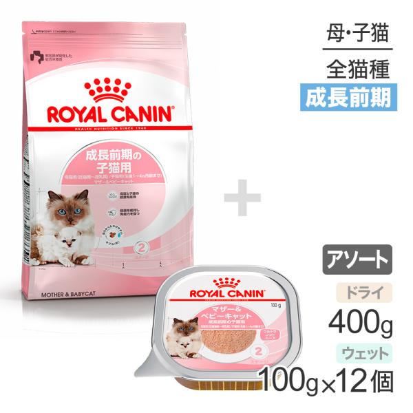 子猫成長前期【はじめてセット】ロイヤルカナン マザー＆ベビーキャット ドライ400g×1 ＋ ウェッ...