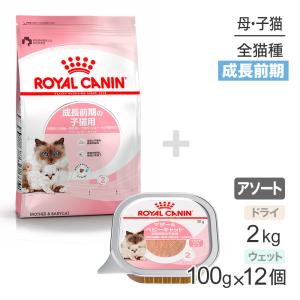 子猫成長前期【はじめてセット】ロイヤルカナン マザー＆ベビーキャット ドライ2kg×1 ＋ ウェット100g×12 (猫・キャット)[正規品]