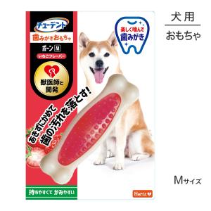 Hartz（ハーツ） 【メール便】ハーツ チューデント 歯みがきおもちゃ