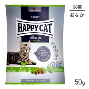 ハッピーキャット HAPPY CAT シニア アトランティックサーモン 高齢猫