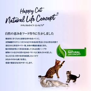 【メール便】HAPPY CAT シニア アトラ...の詳細画像3