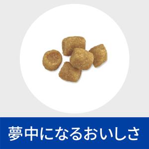 ヒルズ c/d マルチケア 尿ケア フィッシュ...の詳細画像5