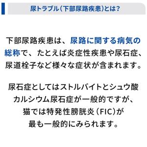 ヒルズ c/d マルチケア コンフォート 尿ケ...の詳細画像3
