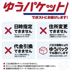 【メール便】いなば ちゅ〜るごはん 総合栄養食...の詳細画像2