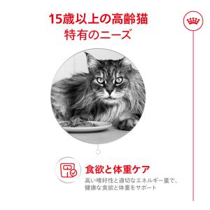 ロイヤルカナン FHN エイジング 15+ 高...の詳細画像2