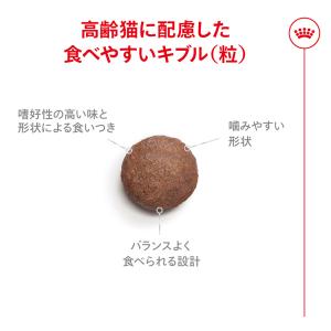 ロイヤルカナン FHN エイジング 15+ 高...の詳細画像4