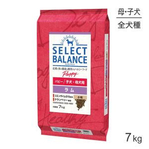 ベッツ・チョイス・ジャパン セレクトバランス ラム パピー 小粒 子犬
