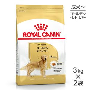 ロイヤルカナン（ROYAL CANIN） 犬 エイジングケア ドライ 3kg : 和泉