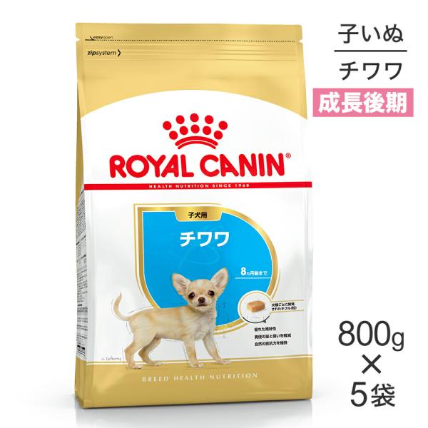 【800g×5袋】ロイヤルカナン チワワ 子犬用 (犬・ドッグ) [正規品]