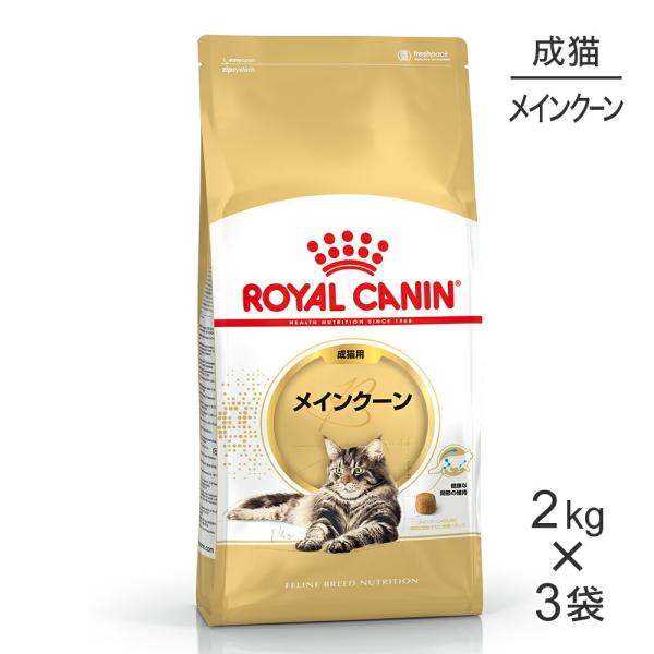 【2kg×3袋】ロイヤルカナン メインクーン  (猫・キャット)[正規品]