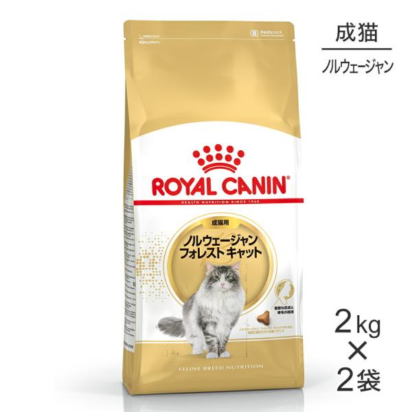 【2kg×2袋】 ロイヤルカナン ノルウェージャンフォレストキャット (猫・キャット) [正規品]