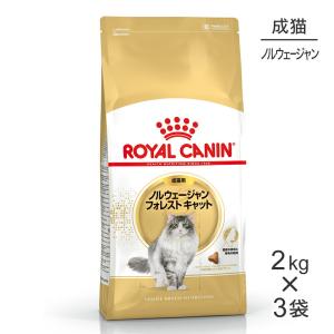 ニュータードケア 猫用 3.5kg＋30gx14袋 ロイヤルカナン ロイヤルカナン 猫 ニュータードケア ドライ 3.5kg : 和泉家本店