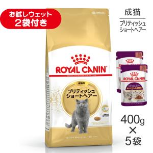 ロイヤルカナン（ROYAL CANIN） 猫用 消化器サポート（可溶性繊維