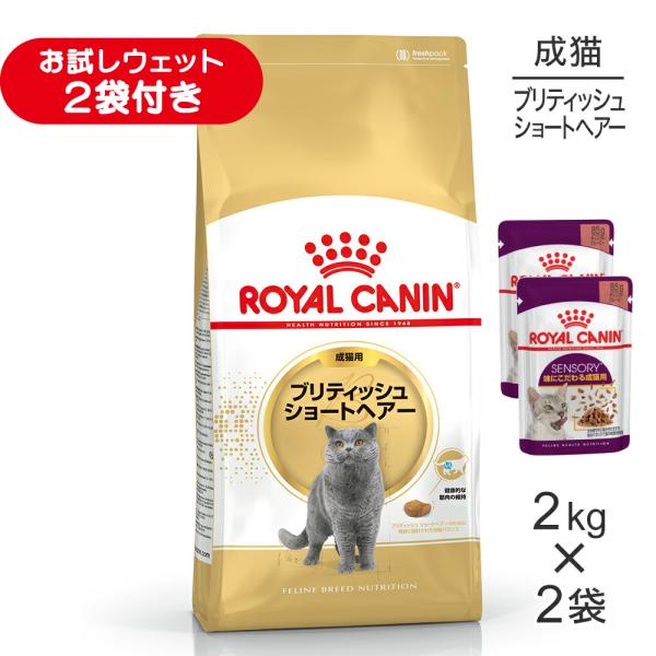 【2kg×2袋】ロイヤルカナン FBN ブリティッシュ ショートヘアー 成猫用 生後12ヵ月齢から1...