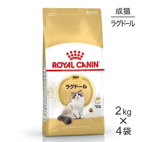 【2kg×4袋】ロイヤルカナン ラグドール  (猫・キャット)[正規品]