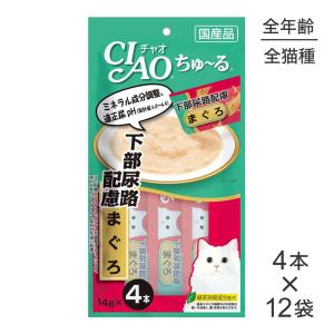 ピュリナワン 【50g×48袋】ネスレ ピュリナ ワン キャット パウチ 健康