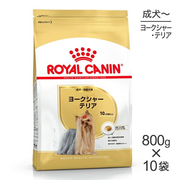 【800g×10袋】ロイヤルカナン ヨークシャーテリア 成犬・高齢犬用 (犬・ドッグ) [正規品]