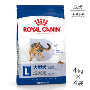スーパーゴールド フィッシュ＆ポテト 子犬・成犬用 ( 2.4kg