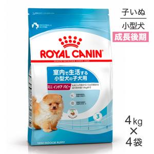 【4kg×4袋】ロイヤルカナン ミニインドアパピー (犬・ドッグ) [正規品]