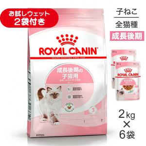 【2kg×6袋】ロイヤルカナン FHN キトン 成長後期の子猫用 生後12ヵ月齢まで (猫・キャット)[正規品]
