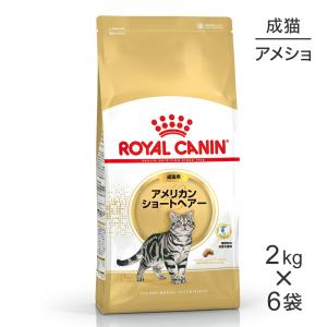 【2kg×6袋】ロイヤルカナン アメリカンショートヘアー (猫・キャット)[正規品]