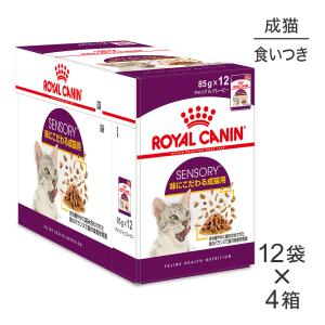 【85g×48袋】ロイヤルカナン FHN ウェット センサリーテイスト 味にこだわりがある猫用 (猫・キャット)[正規品]【旧SKU】