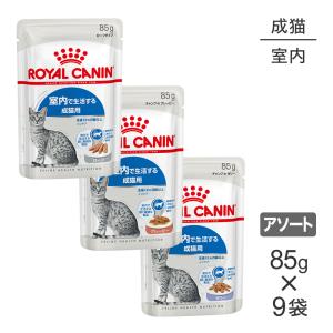 【メール便】【85g×9袋】ロイヤルカナン 室内で暮らす成猫のためのウェットお試しセット(1) インドア(猫・キャット)[正規品]【旧SKU】