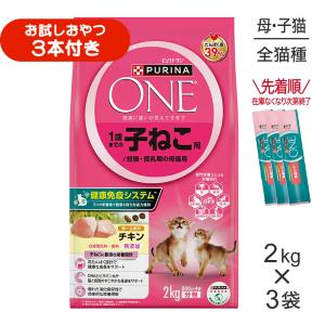 AIXIA Miaw Miaw シニア猫用 かつお味 580g アイシア（AIXIA） MiawMiawドライ カリカリ小粒 シニア猫用かつお味