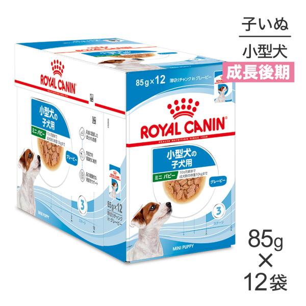 【85g×12袋】ロイヤルカナン SHN-WET ミニパピー 小型犬 成長後期の子犬用 生後10ヵ月...