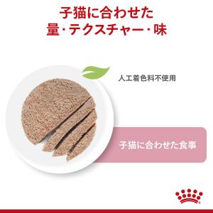 【メール便】【85g×6袋】ロイヤルカナン F...の詳細画像1