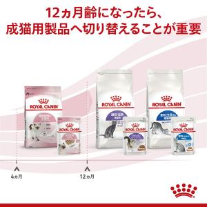 【メール便】【85g×6袋】ロイヤルカナン F...の詳細画像4
