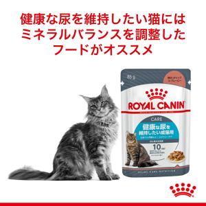 【メール便】【85g×6袋】ロイヤルカナン F...の詳細画像1