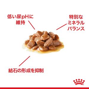 【メール便】【85g×6袋】ロイヤルカナン F...の詳細画像2