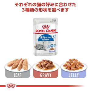 【メール便】【85g×6袋】ロイヤルカナン F...の詳細画像4