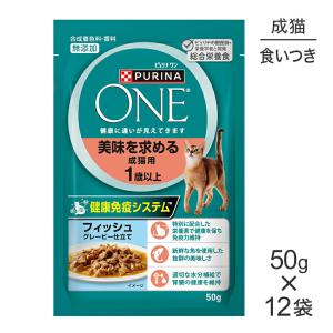 PURINA ピュリナワン キャット パウチ 毛玉ケア用 1歳以上 チキン
