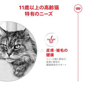 【4kg×2袋】ロイヤルカナン FHN エイジ...の詳細画像3