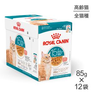 【85g×12袋】ロイヤルカナン FHN-WET...の商品画像